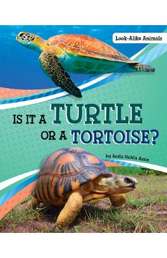 Coperta cărții 'Is It a Turtle or a Tortoise? - Anita Nahta Amin'