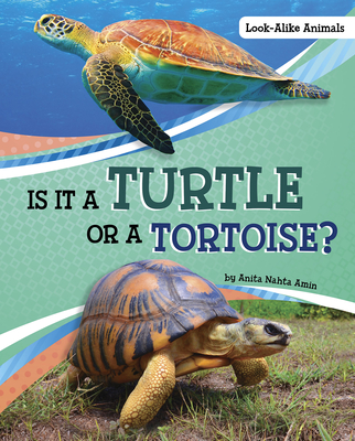 Coperta cărții 'Is It a Turtle or a Tortoise? - Anita Nahta Amin'