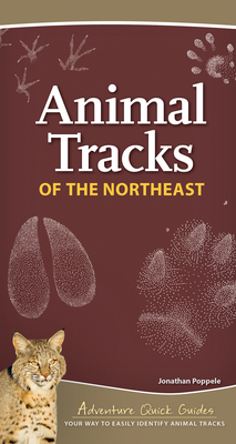 Animal Tracks of the Northeast: Your Way to Easily Identify Animal Tracks - Jonathan Poppele