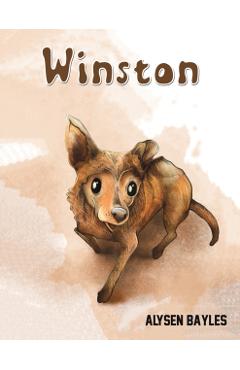 Coperta cărții 'Winston - Alysen Bayles'