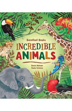 Barefoot Books Incredible Animals - Dunia Rahwan