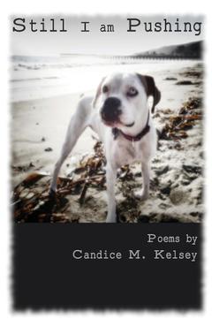 Coperta cărții 'Still I am Pushing - Candice M. Kelsey'