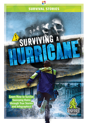 Coperta cărții 'Surviving a Hurricane - Jennifer Mason'