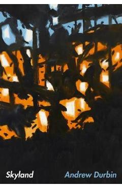 Coperta cărții 'Skyland - Andrew Durbin'