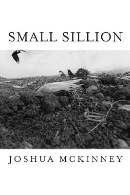 Small Sillion - Joshua Mckinney