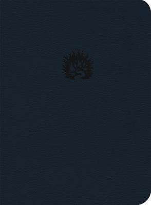 Lbla La Biblia de Estudio de la Reforma, S�mil Piel, Azul Marino, Spanish Edition - R. C. Sproul