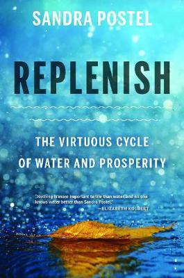 Replenish: The Virtuous Cycle of Water and Prosperity - Sandra Postel