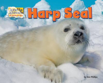 Harp Seal - Dee Phillips