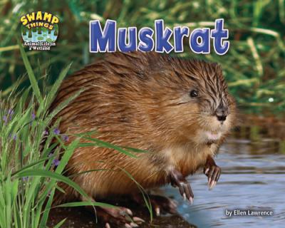 Muskrat - Ellen Lawrence