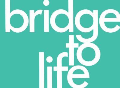 Bridge to Life (Green) 25-Pack - The Navigators