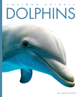 Dolphins - Kate Riggs