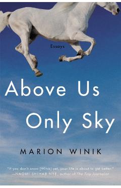 Above Us Only Sky: Essays - Marion Winik