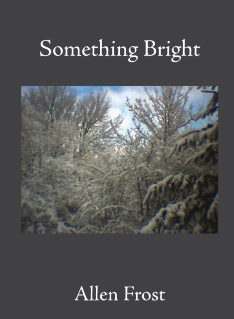 Something Bright - Allen Frost