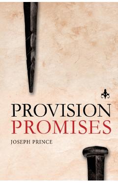 Provision Promises - Joseph Prince