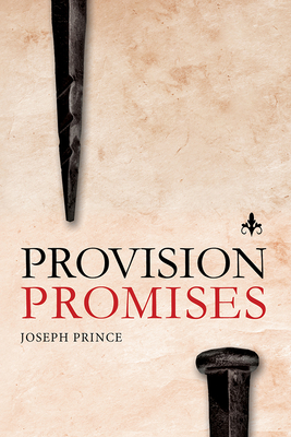 Provision Promises - Joseph Prince