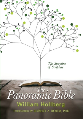 The Panoramic Bible: The Storyline of Scripture - William Hollberg