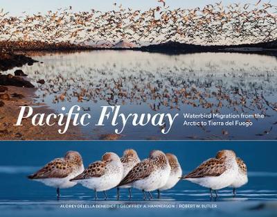 Pacific Flyway: Waterbird Migration from the Arctic to Tierra del Fuego - Audrey Delella Benedict