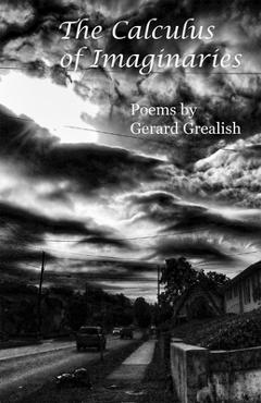 Coperta cărții 'The Calculus of Imaginaries - Gerard Grealish'