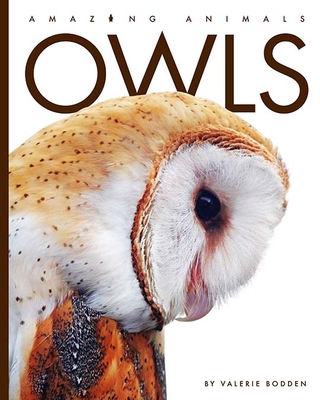 Owls - Valerie Bodden