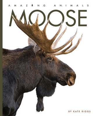 Moose - Kate Riggs