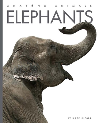 Elephants - Kate Riggs