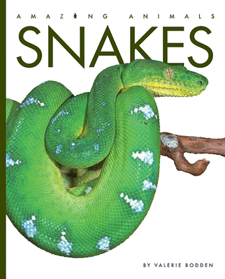 Snakes - Valerie Bodden