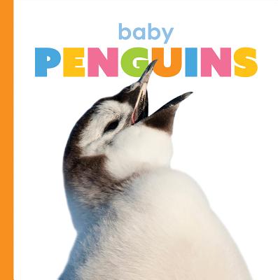 Baby Penguins - Kate Riggs