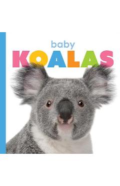 Coperta cărții 'Baby Koalas - Kate Riggs'