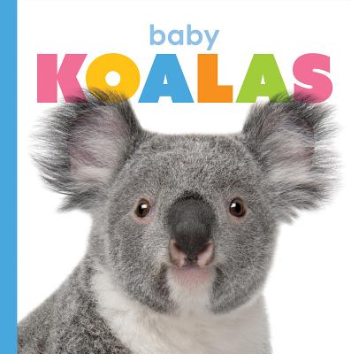 Coperta cărții 'Baby Koalas - Kate Riggs'