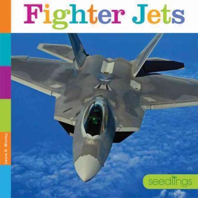 Fighter Jets - Laura K. Murray