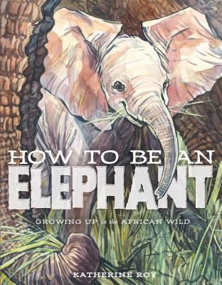How to Be an Elephant - Katherine Roy