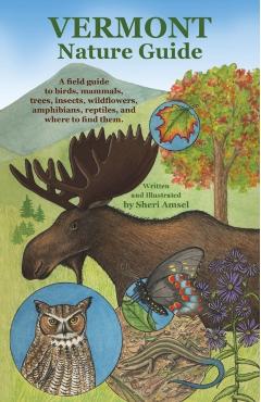 Vermont Nature Guide: A field guide to birds, mammals, trees, insects, wildflowers, amphibians, reptiles, and where to find them - Sheri Amsel