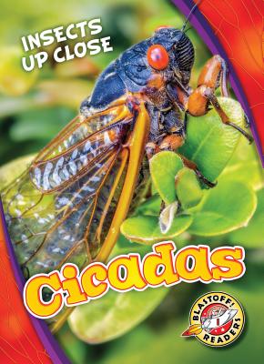 Cicadas - Christina Leaf