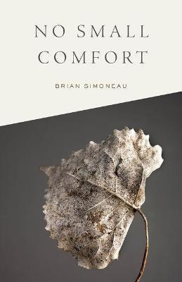 No Small Comfort - Brian Simoneau