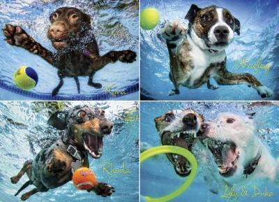 Underwater Dogs 2 1000-Piece Puzzle - Seth Casteel