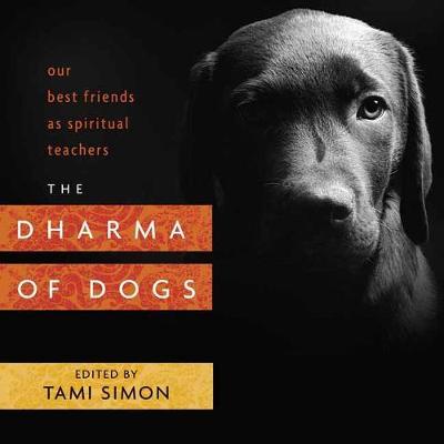 The Dharma of Dogs: Our Best Friends as Spiritual Teachers - Tami Simon