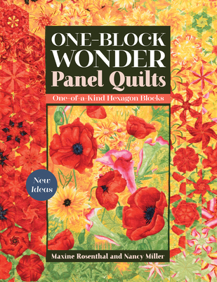 One-Block Wonder Panel Quilts: New Ideas; One-Of-A-Kind Hexagon Blocks - Maxine Rosenthal