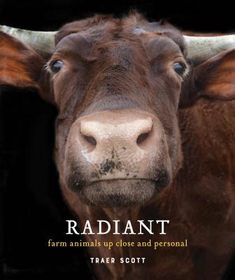 Radiant: Farm Animals Up Close and Personal (Farm Animal Photography Book) - Traer Scott