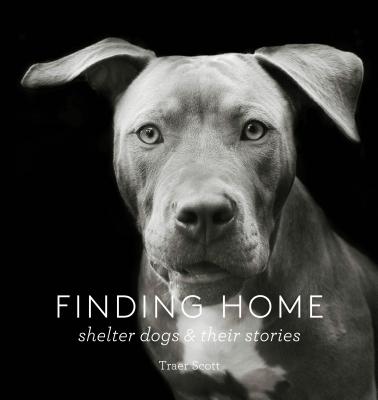 Finding Home: Shelter Dogs and Their Stories (a Photographic Tribute to Rescue Dogs) - Traer Scott