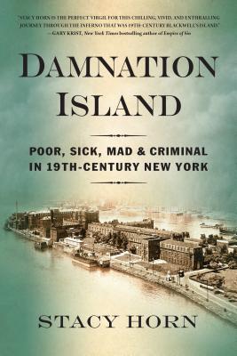 Damnation Island: Poor, Sick, Mad, and Criminal in 19th-Century New York - Stacy Horn