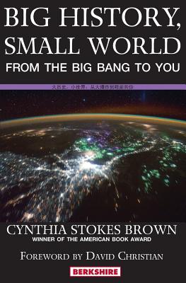 Coperta cărții 'Big History, Small World: From the Big Bang to You - Cynthia Stokes Brown'