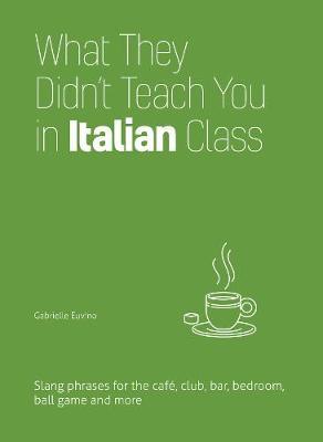 What They Didn't Teach You in Italian Class: Slang Phrases for the Cafe, Club, Bar, Bedroom, Ball Game and More - Gabrielle Euvino