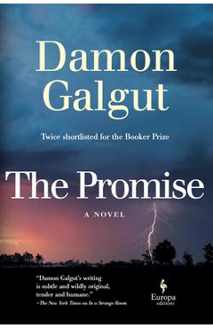 Coperta cărții 'The Promise - Damon Galgut'