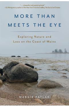 More Than Meets the Eye: Exploring Nature and Loss on the Coast of Maine - Margie Patlak