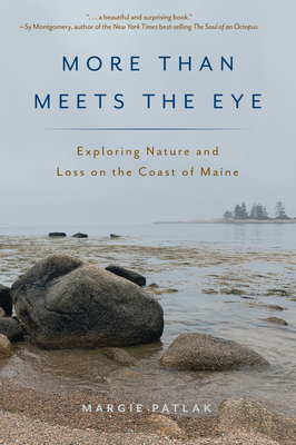 More Than Meets the Eye: Exploring Nature and Loss on the Coast of Maine - Margie Patlak