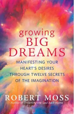 Growing Big Dreams: Manifesting Your Heart's Desires Through Twelve Secrets of the Imagination - Robert Moss