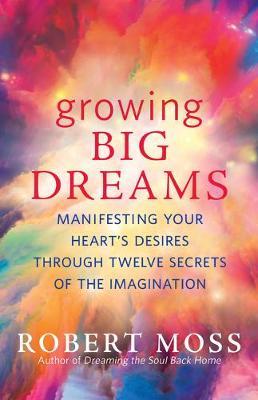 Growing Big Dreams: Manifesting Your Heart's Desires Through Twelve Secrets of the Imagination - Robert Moss