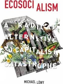 Ecosocialism: A Radical Alternative to Capitalist Catastrophe - Michael L�wy