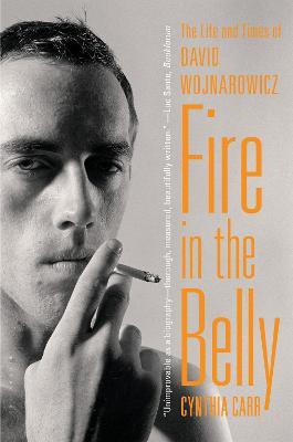 Fire in the Belly: The Life and Times of David Wojnarowicz - Cynthia Carr