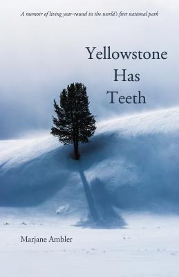 Yellowstone Has Teeth: A Memoir of Living in Yellowstone - Marjane Ambler